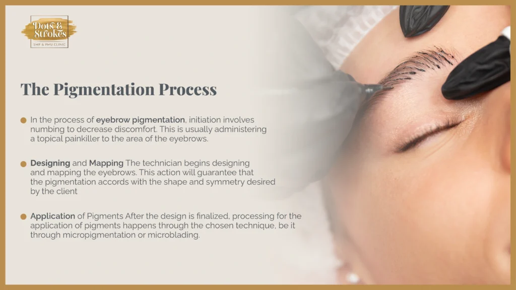 The whole Pigmentation Process
